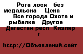 Рога лося , без медальона. › Цена ­ 15 000 - Все города Охота и рыбалка » Другое   . Дагестан респ.,Кизляр г.